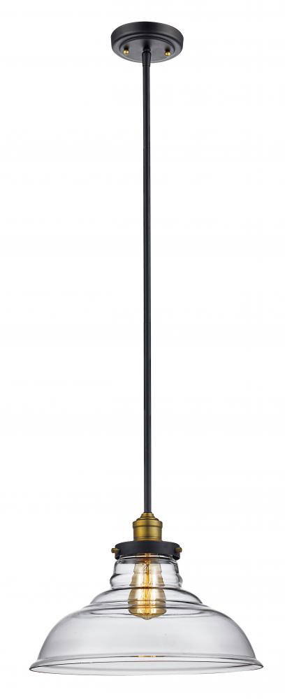 1LT PENDANT LRG-INDUSTRIAL-ROB